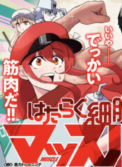 Hataraku Saibou Muscle (Raw – Free)